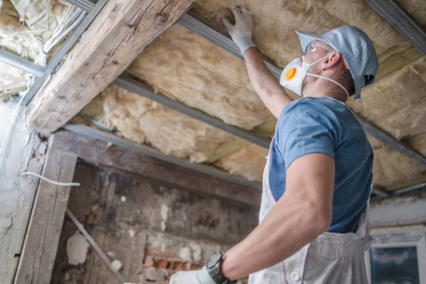 Best Insulation Maintenance and Repair in Norman Park, GA